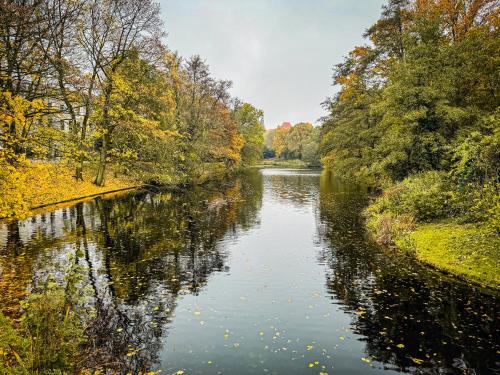 ImmoStay #6 - Ferienhaus mit 2 Ferienwohnungen für 8 Personen - WiFi, TV, Bremen (photo 4)