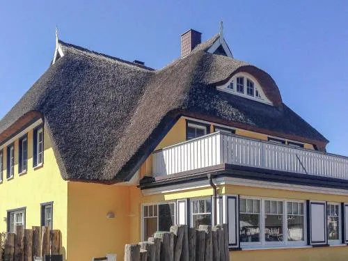 Buchfink in Prerow, Deutschland