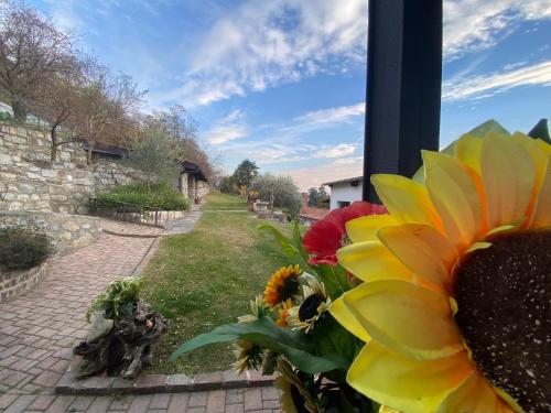  Lovely Villa w Renovated Barn, Pool, BBQ & extensive Hectares of Land in Morbio Inferiore