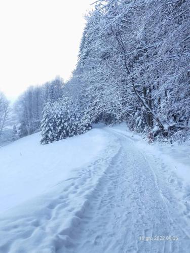 Domek Góralski Chata u Słodkiego Zakopane, Zakopane (Foto 6)