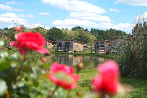 Écolodges du Golf du Sauternais - Hotel - Saint-Loubert