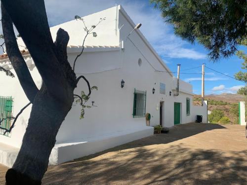 Casa Teatro Raices