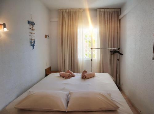 Don Cayo 2 - image 5