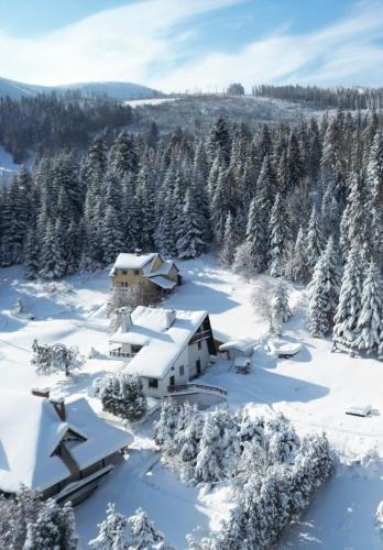 Cerla Korbielów, Korbielów