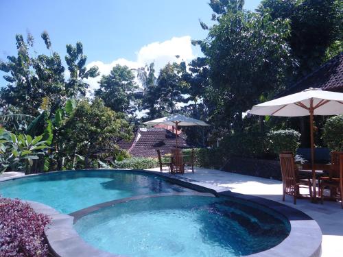 Zwembad, Argasoka Bungalows in Ubud