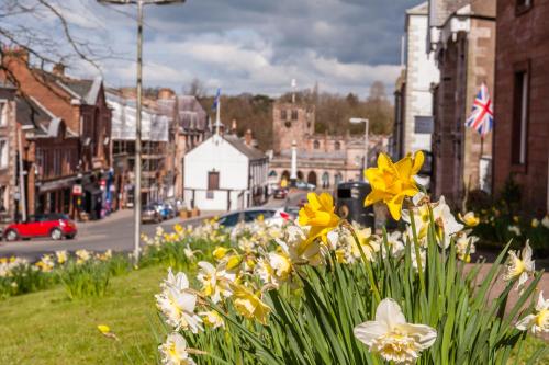 Little Apple- Free Parking, Hot tub, Fire, Town Centre