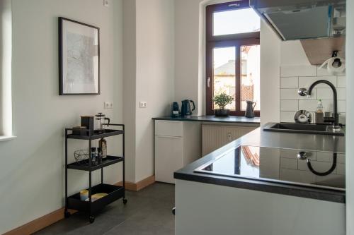 Große familienfreundliche Wohnung in Dresden, Drážďany (fotografie 7)