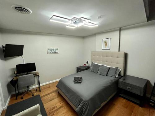 Downtown Albany 1 Bed + Workstation @ Maiden Lane