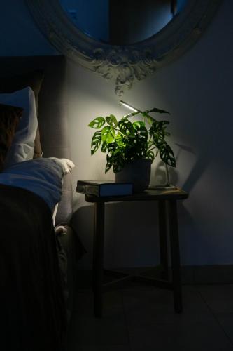 The Luxury Inn - image 10