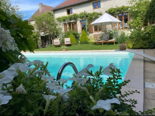 Bulles & Bubbles... in Laferte-sur-Aube