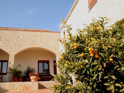 B&B Casa Rural Mas del Rey - image 12