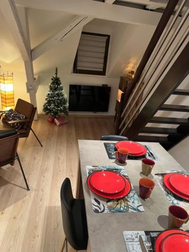 Charmant duplex privatisé, climatisé, 2 chambres, Strasbourg (photo 9)