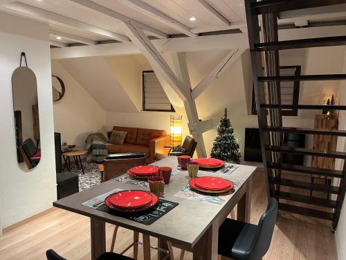 Charmant duplex privatisé, climatisé, 2 chambres, Strasbourg (photo 4)