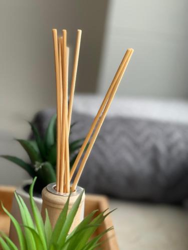 Gemütliche und charmante Ferienwohnung in der schönen Rattenfängerstadt Hameln (Gemutliche und charmante Ferienwohnung in der schonen Rattenfangerstadt Hameln) in 哈默爾恩市中心