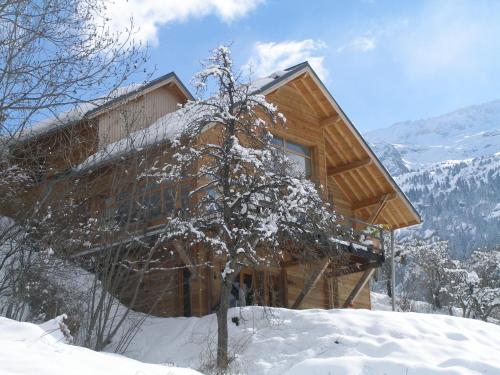 The Vaujany Mountain Lodge - Chalet - Vaujany