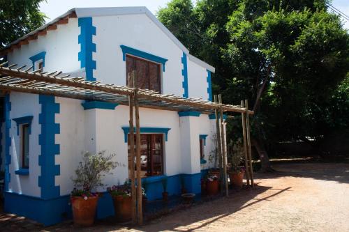 The Blue Place, Pretoria