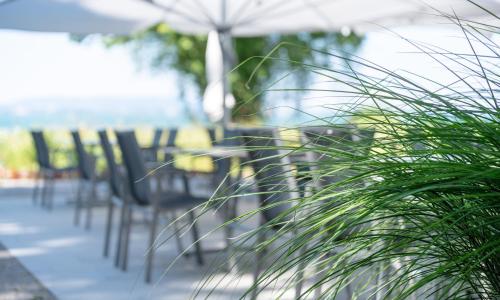 Hotel Restaurant Sokrates - image 8