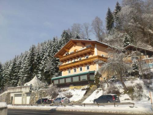 Appartement inkl Gästekarte (Appartement inkl Gastekarte) in Uttendorf