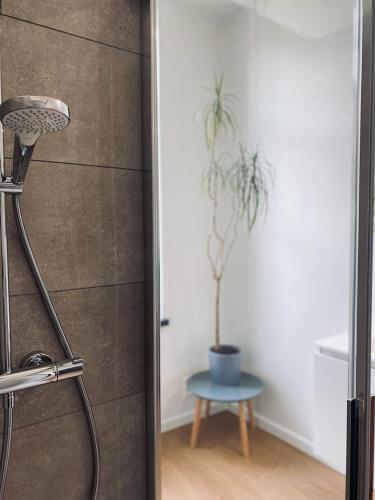 B&B Faja lobi – Ghent, CA