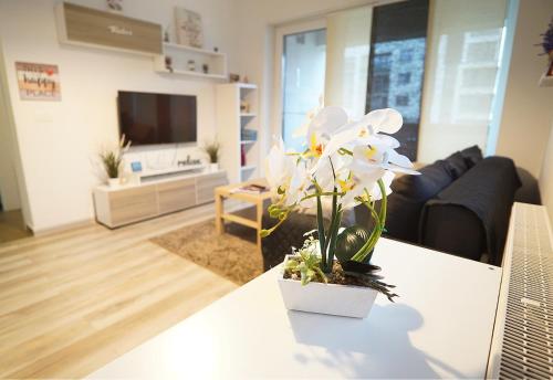 Relaxing Coresi Place Relaxing Coresi Place