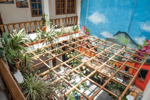 View, Hostal de la Fuente in Antigua Guatemala