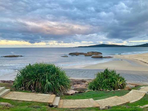 Coastal bush gateway nr South West Rock Beach