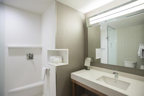 Suite, 2 Queen, Sofa bed