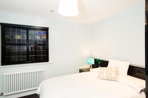 Luxury Townhouse, Dublín (foto 9)