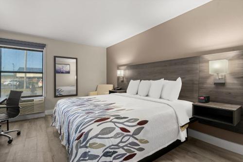 1 king bed