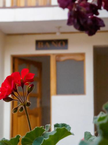 Los Faroles Hostal in โปโตซี่