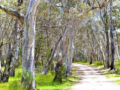 Cabin 2 - Snowy Accommodation in Adaminaby