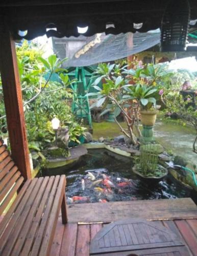 View, Bujak Permai Villa Matahari Lombok NTB in Selebung