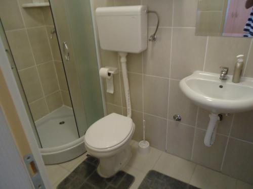 Prenoćište Vila Stara Breza - image 6