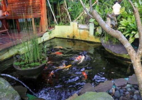 Facilities, Bujak Permai Villa Matahari Lombok NTB in Selebung