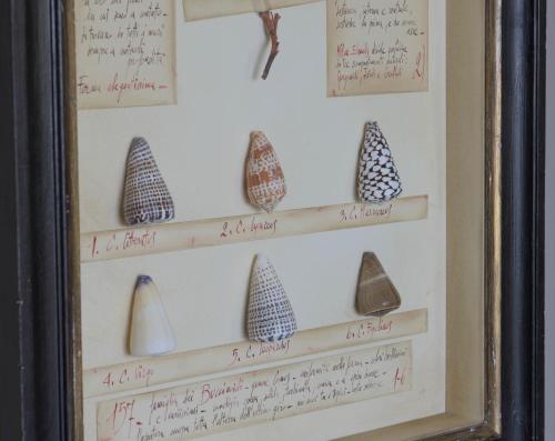Hotel Villa Ducale - image 7
