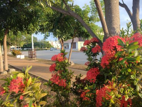 Saramuyah Home Cancun in 시티 센터