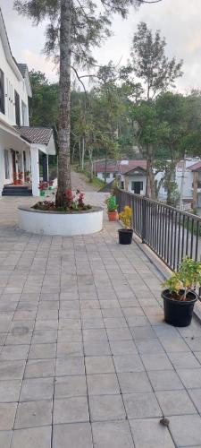 HillTop in greany meadows yercaud, Yercaud (foto 4)