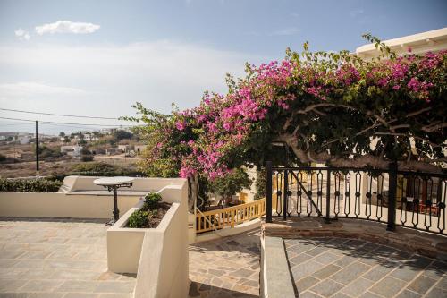 Hotel Proteas - image 8