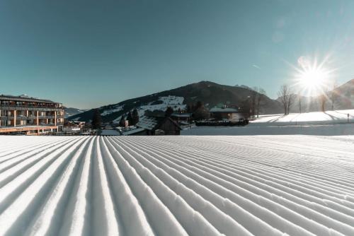 Apart & Suiten Hotel WEIDEN photo 4