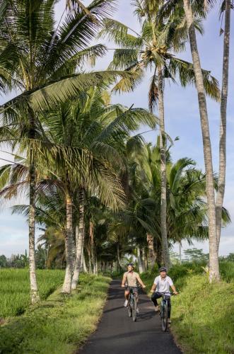 Wapa di Ume Ubud