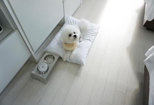 World Sky Residence Hotel - Accommodation - Sokcho