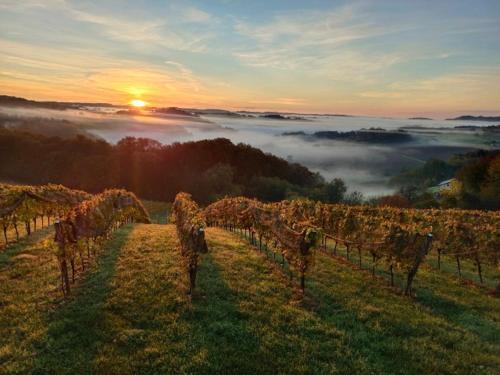 Weinbergstöckl Gombotz (Weinbergstockl Gombotz) in Neuhaus Am Klausenbach