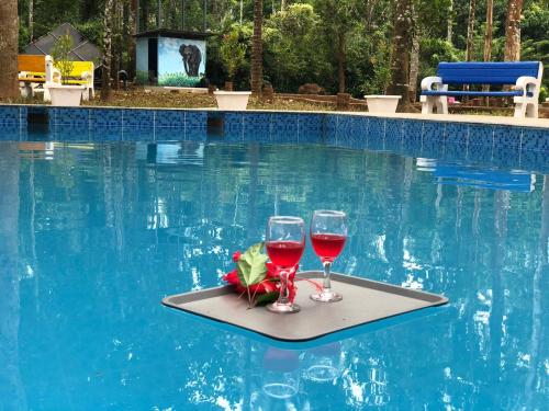 Zwembad, Paddyfield Inn in Kattikkulam