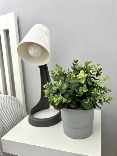 Apartamento en Centro - Vial, Cordoue (photo 8)