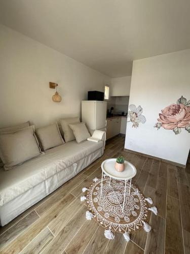 Joli T2 climatise, jardin, tout confort, idealement situe near Il Paradiso