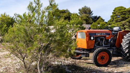 Zante Hidden Hills Zante Hidden Hills