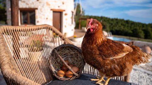 Zante Hidden Hills Zante Hidden Hills