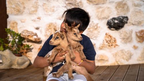 Zante Hidden Hills Zante Hidden Hills