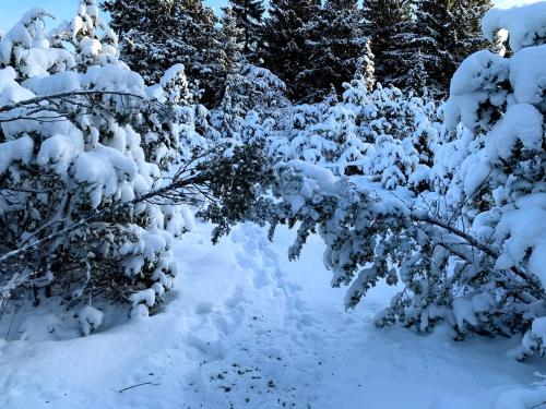 Surrounding environment, Romantiline saunamaja Padaste lahe aares in Padaste