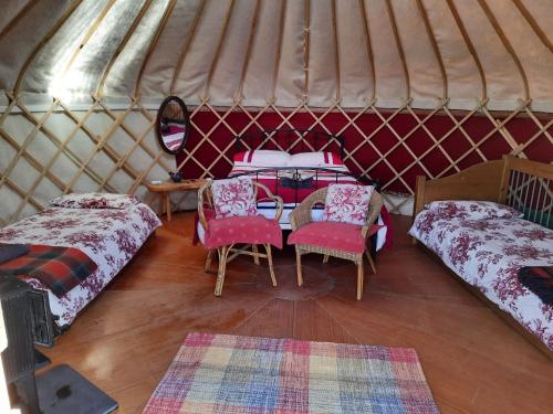 Ceridwen Glamping, double decker bus and Yurts